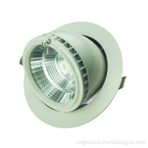 LED down-lights gimbal, 20W/AC 85-265V, 110mm cutout, 10W, day white color